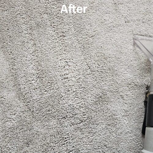 https://www.sandyfordcarpetcleaning.ie/wp-content/uploads/2022/03/WhatsApp-Image-2024-09-01-at-02.34.36-1-500x500.jpeg