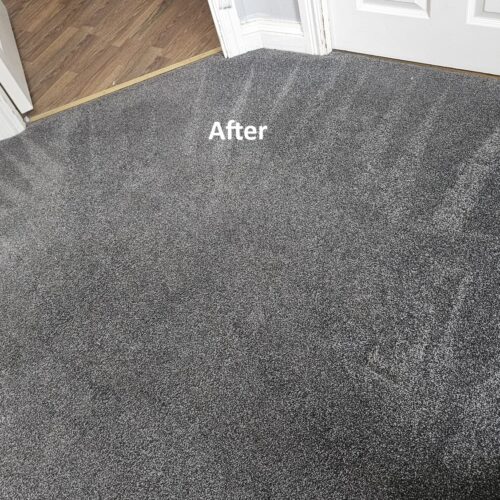 https://www.sandyfordcarpetcleaning.ie/wp-content/uploads/2022/03/WhatsApp-Image-2024-09-01-at-02.34.36-4-500x500.jpeg