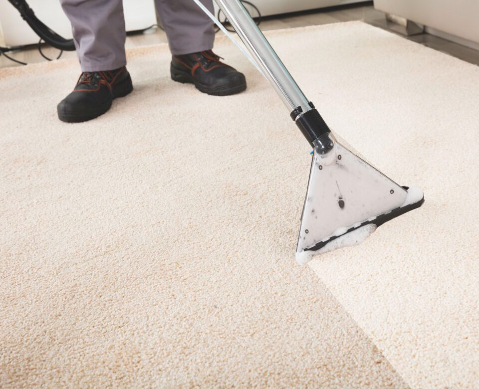 Apartment Carpet Cleaning Service