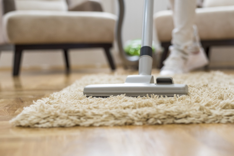 Apartment Carpet Cleaning Service